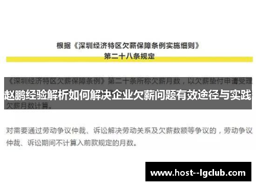 赵鹏经验解析如何解决企业欠薪问题有效途径与实践