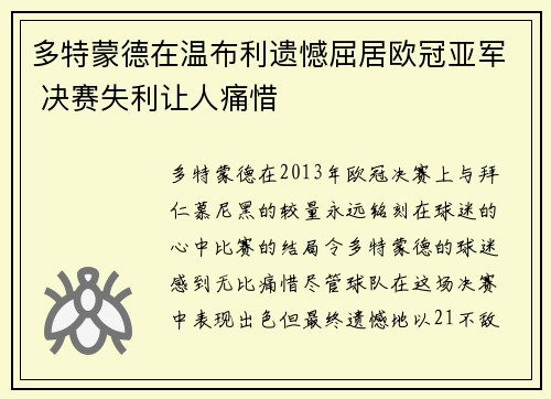 多特蒙德在温布利遗憾屈居欧冠亚军 决赛失利让人痛惜 多特蒙德在温布利遗憾屈居欧冠亚军 决赛失利让人痛惜